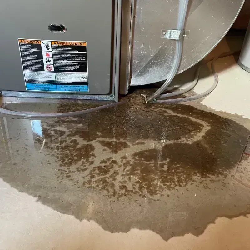 Appliance Leak Cleanup in Cairo, IL